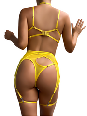 4-Piece Sensual Lingerie – Erotic Bra, Thongs, and Garter Set