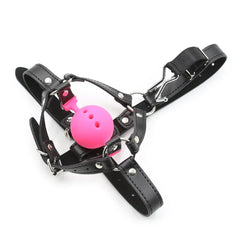 Thierry-Style BDSM Head Harness – Silicone Ball Gag with Nose Hook